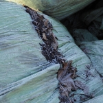 Bewegte Landschaft 5