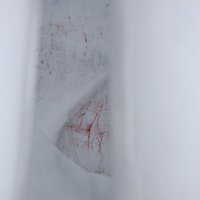 Schneeweiss und Rosenrot 1
