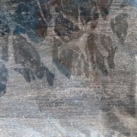 Wachsen 8