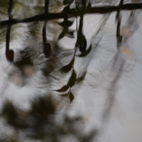 Wasserspiegel 3